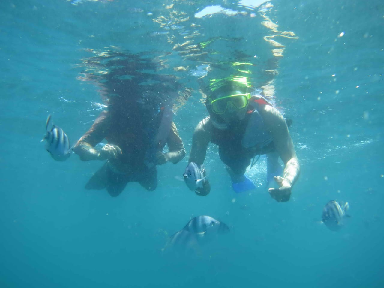 Enjoyable Snorkeling Experience in Bali - Part 2