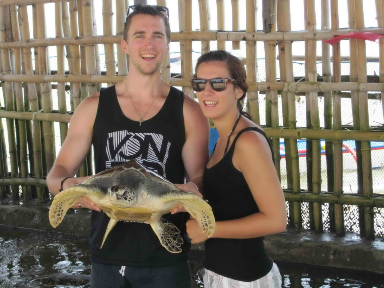 Memorable Photo with Turtles in Bali